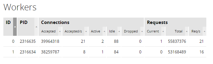 The ‘Workers’ tab in the NGINX Plus live activity monitoring dashboard provides information about worker processes