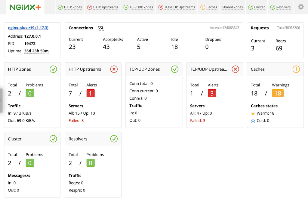 Dashboard tab in NGINX Plus live activity monitoring dashboard